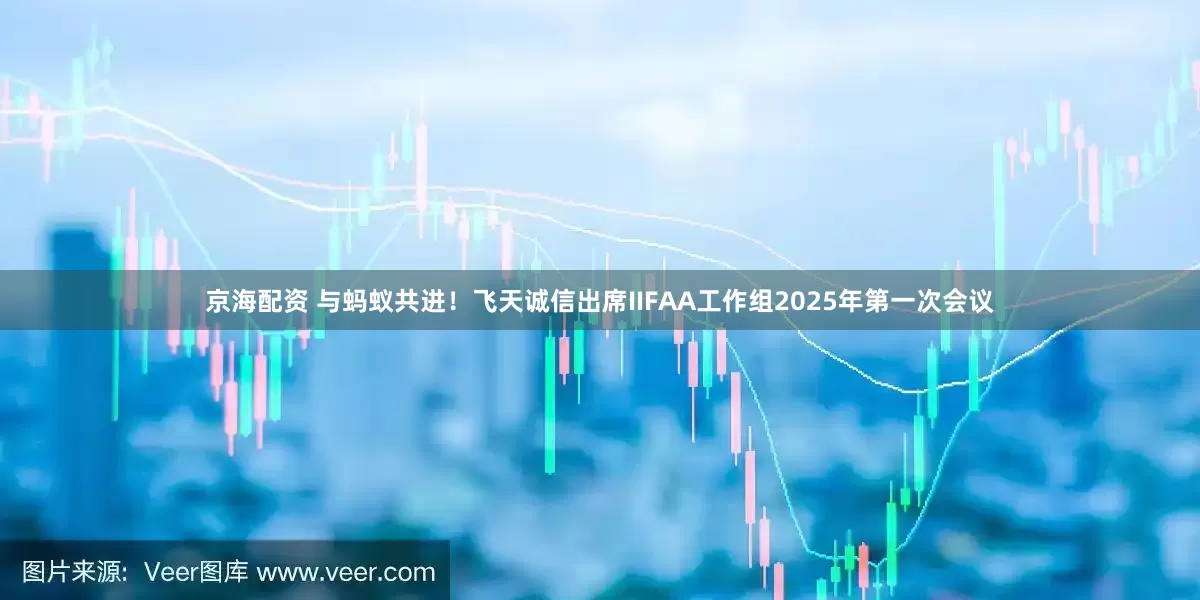 京海配资 与蚂蚁共进！飞天诚信出席IIFAA工作组2025年第一次会议