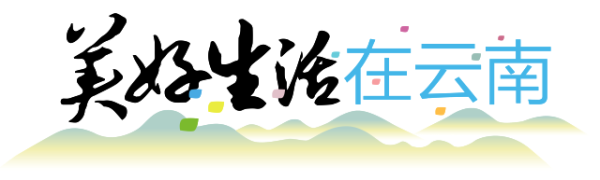 融期策略 美好生活在云南｜保山隆阳：杨梅红满枝，采摘尝鲜乐趣多