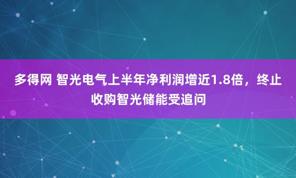 多得网 智光电气上半年净利润增近1.8倍，终止收购智光储能受追问